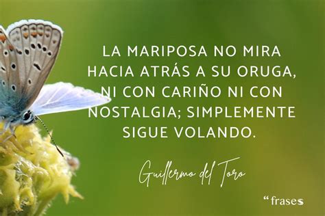 frases de mariposas para reflexionar